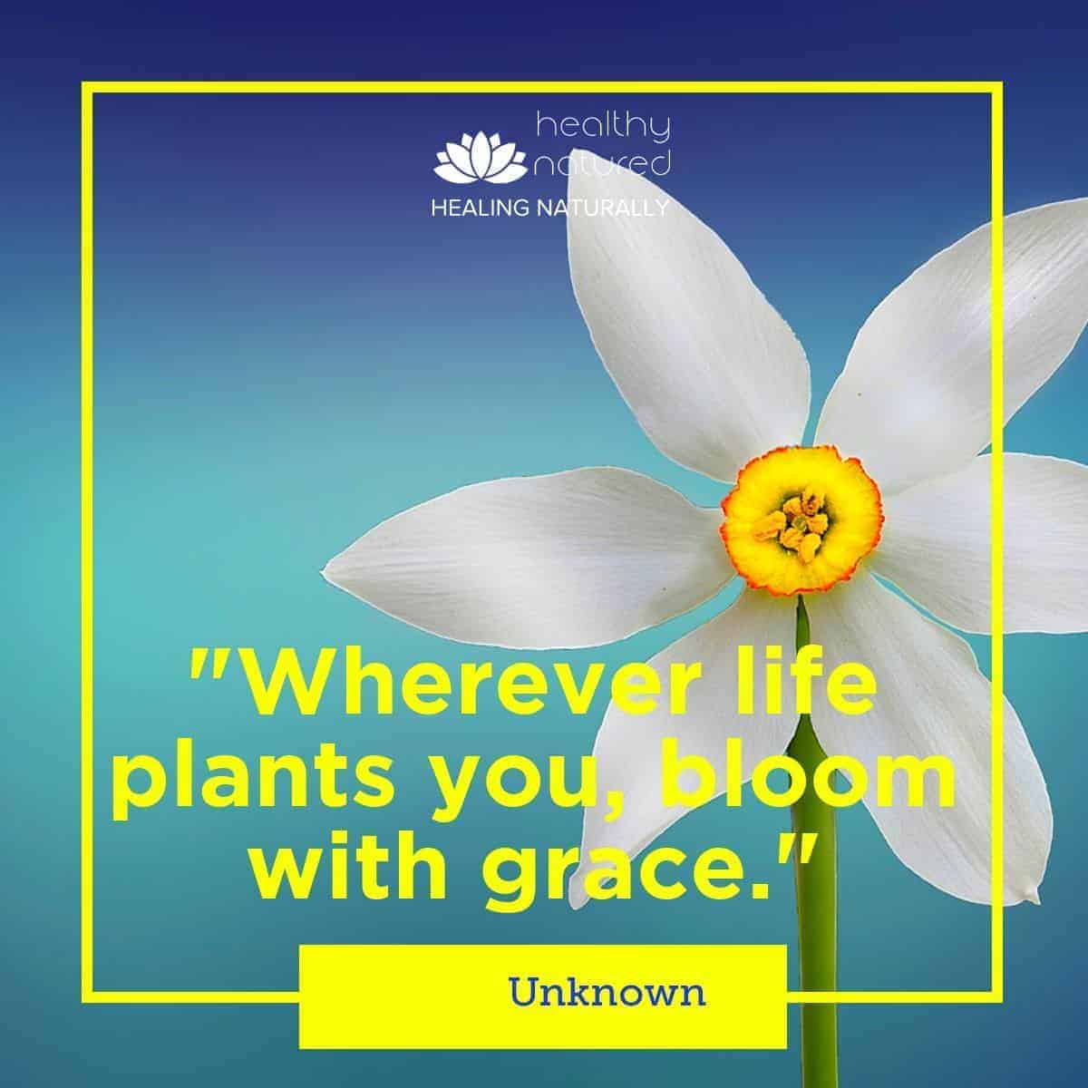 best quotes about life - balanced life