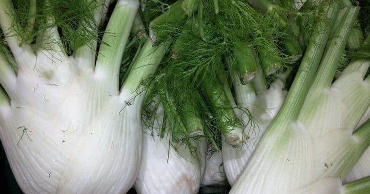 Fennel - Natural Remedies for Anxciety and Depression.