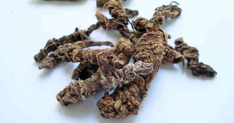Valerian Root - Natural Remedies for Anxciety and Depression.