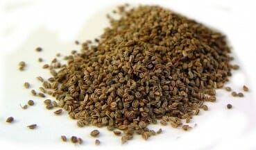Celery Seeds