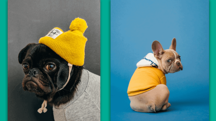 8 Ways Pets Help Health 8 ways pets help health