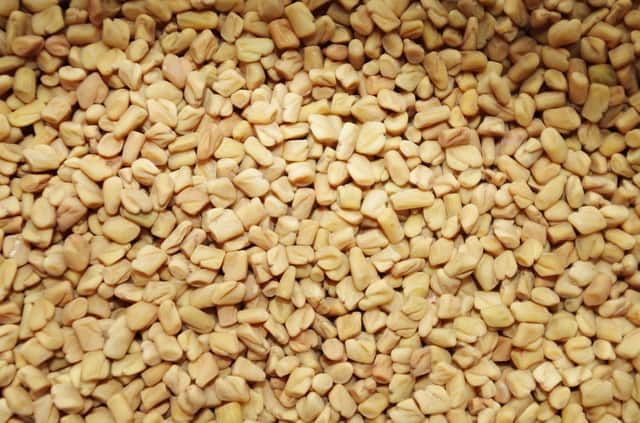 Fenugreek Seeds fenugreek seeds