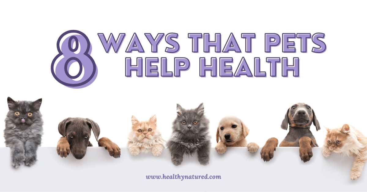 8 ways pets help health get a pet