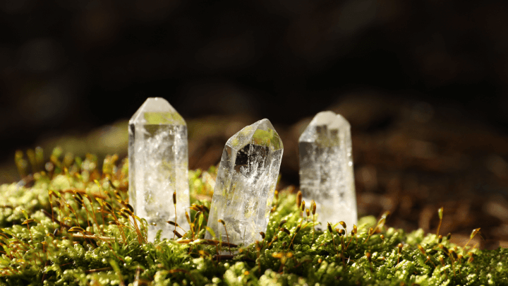 2 crystals sit in moss - healing with quartz crystals energies - using single terminated quartz