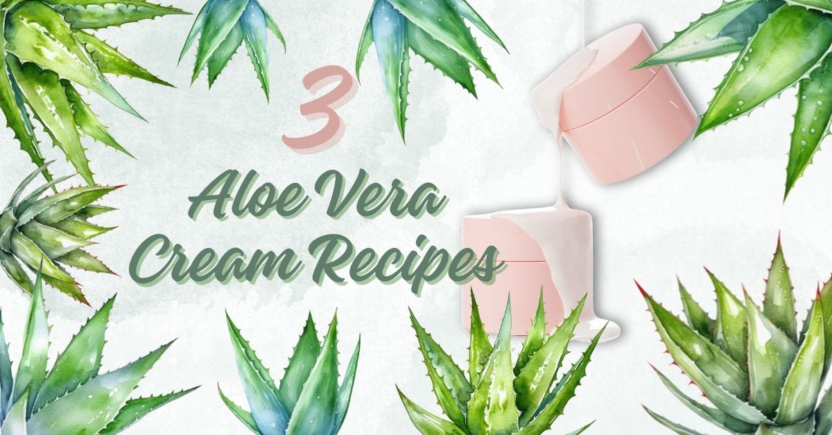 3 homemade Aloe Vera Cream Recipes