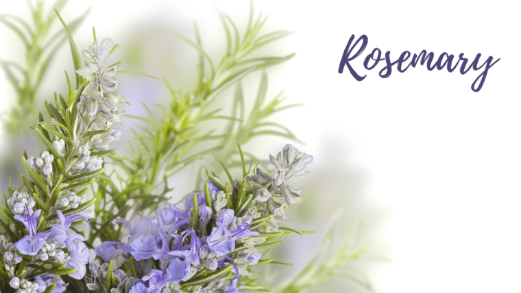 Rosemary rosemary