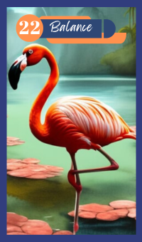 Balance - The Flamingo