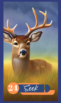 Seek - The Deer