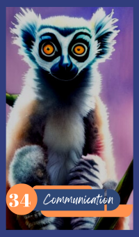 Communication - The Lemur