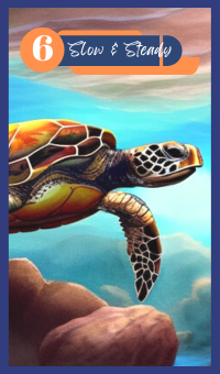 Slow and Steady - The Sea Turtle