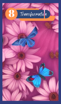 Transformation - The Butterfly