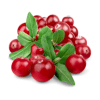 cranberries
