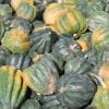 acorn squash