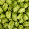 hops