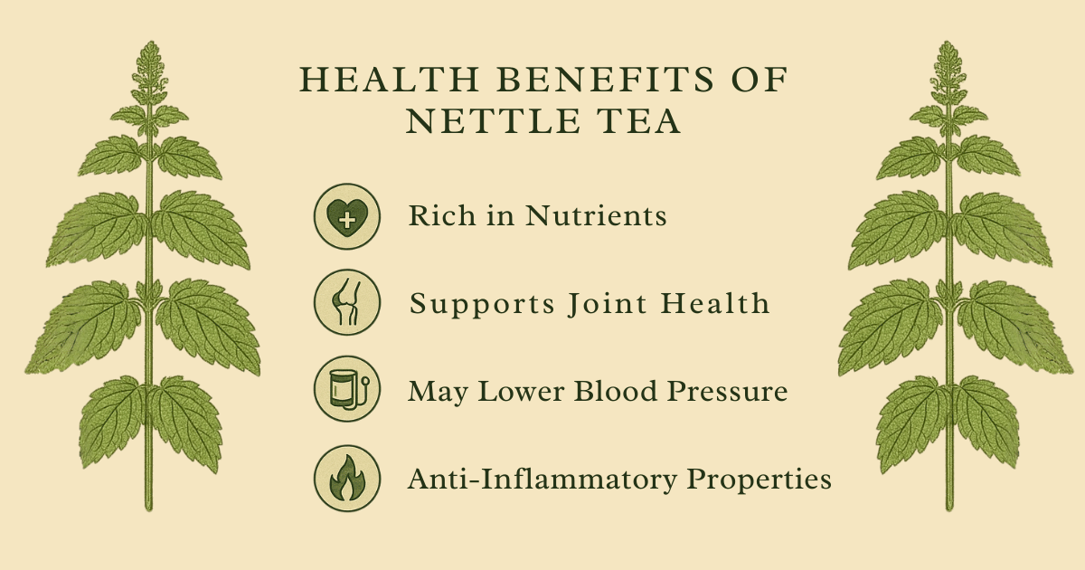 Nettle Root Tea Health Benefits: What You Need to Know