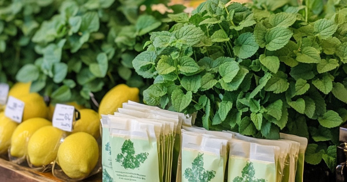 fresh lemon balm displayed