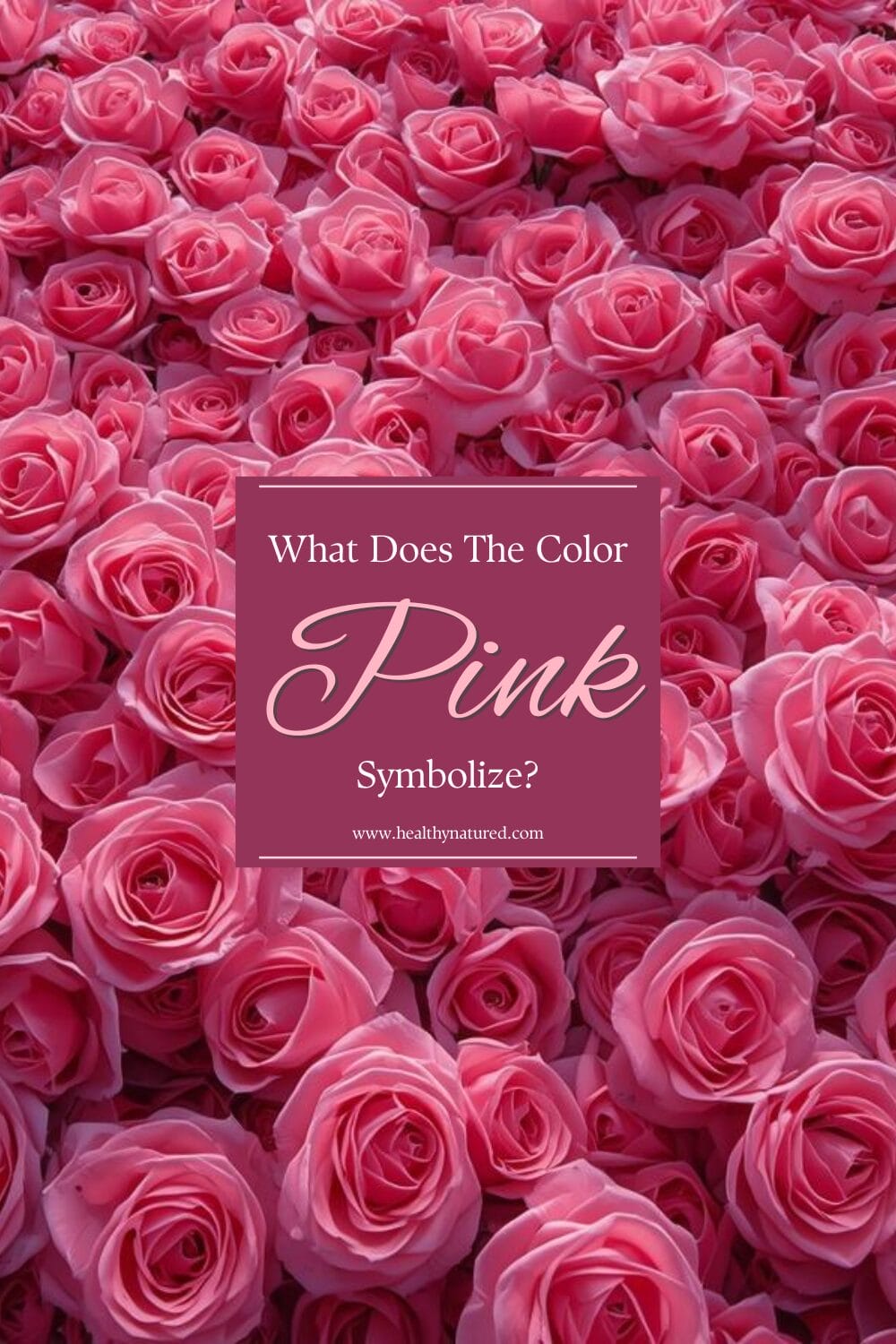 Pinterest Hidden Image