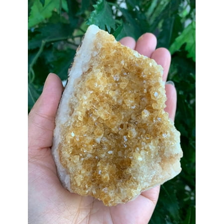 XL Raw Citrine Cluster 3-4 Natural Rough Citrine Cluster Citrine Cluster Citrine Healing Crystal (Citrine Cluster 0.5-1 lb)