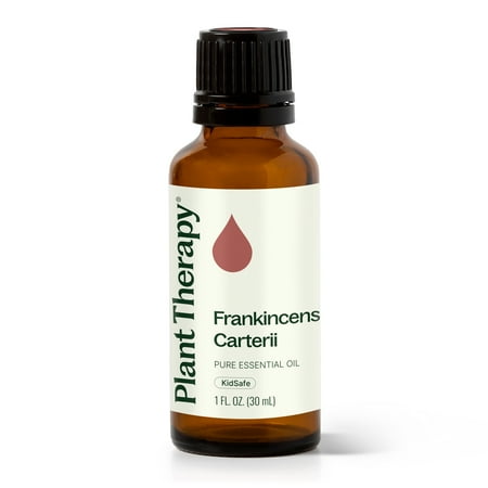 Plant Therapy Frankincense Carterii Essential Oil 30 mL (1 oz) Pure Undiluted Therapeutic Grade
