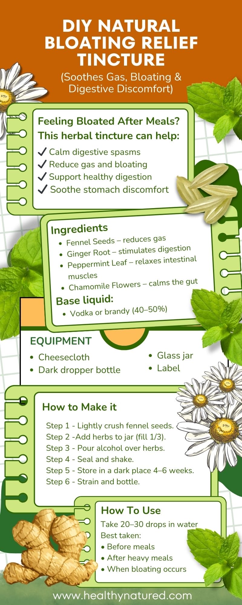 DIY Guide How to Make Gentle Natural Bloating Relief Tincture at Home Infographic