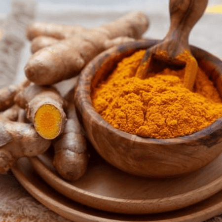 Curcuma Yellow Turmeric Plant Live Live Turmeric Plant 4 Tall Outdoor Planting Garden