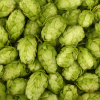 hops