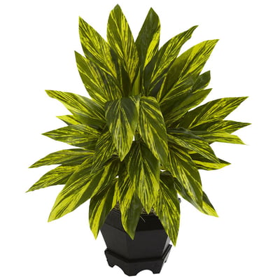 nearly natural Ginger Plant