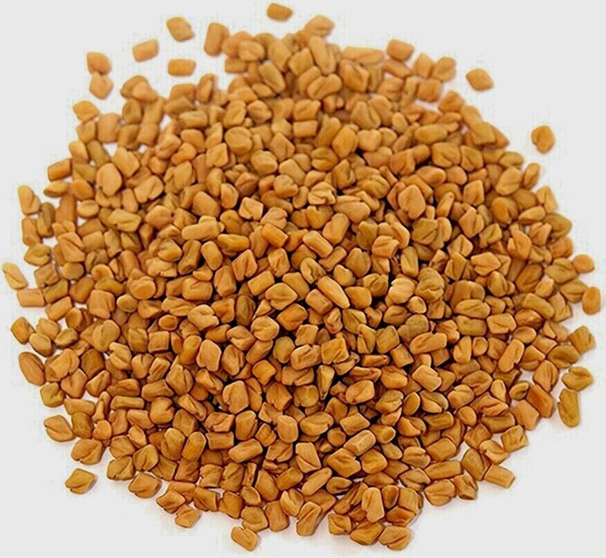 Organic Fenugreek Seed ~ Trigonella Foenum Graecum ~ 100% Premium