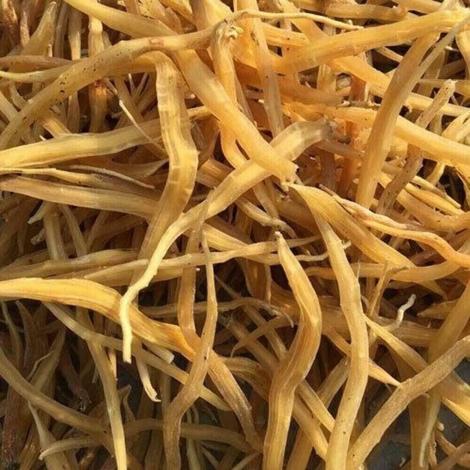 Shatavari Root Indian Traditional HERBAL Plant Base Ayurveda Raw, 250g / 8.8 oz