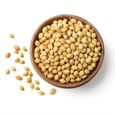 NY SPICE SHOP Whole Coriander Seeds โ 3 Pound