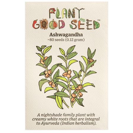 Plant Good Seed Organic Ashwagandha Seeds for Planting: 80 Count Perennial Ayurvedic Herb