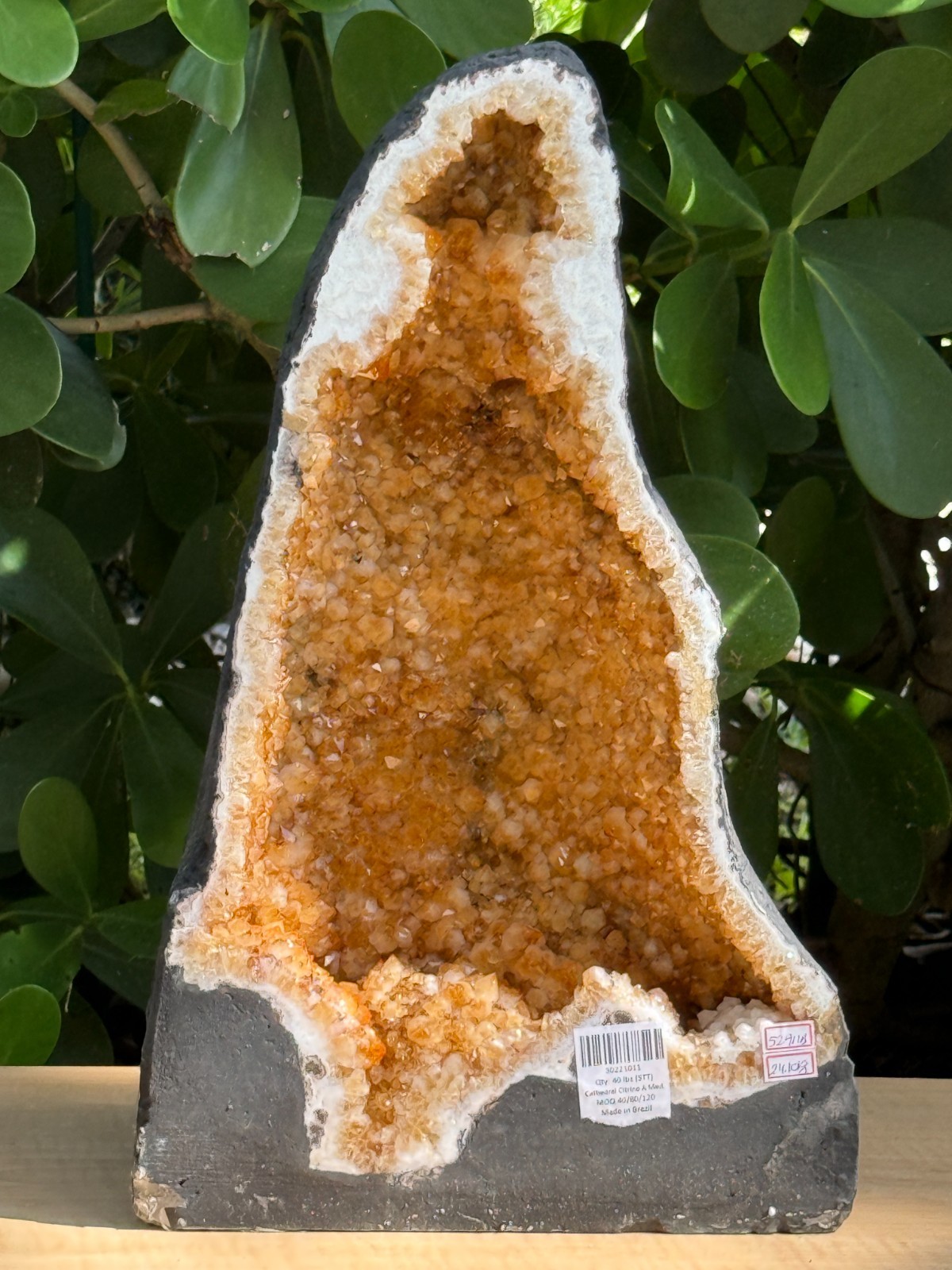 X-Large Citrine Cathedral, Citrine Geode, Honey Citrine Cluster, Pick a Weight